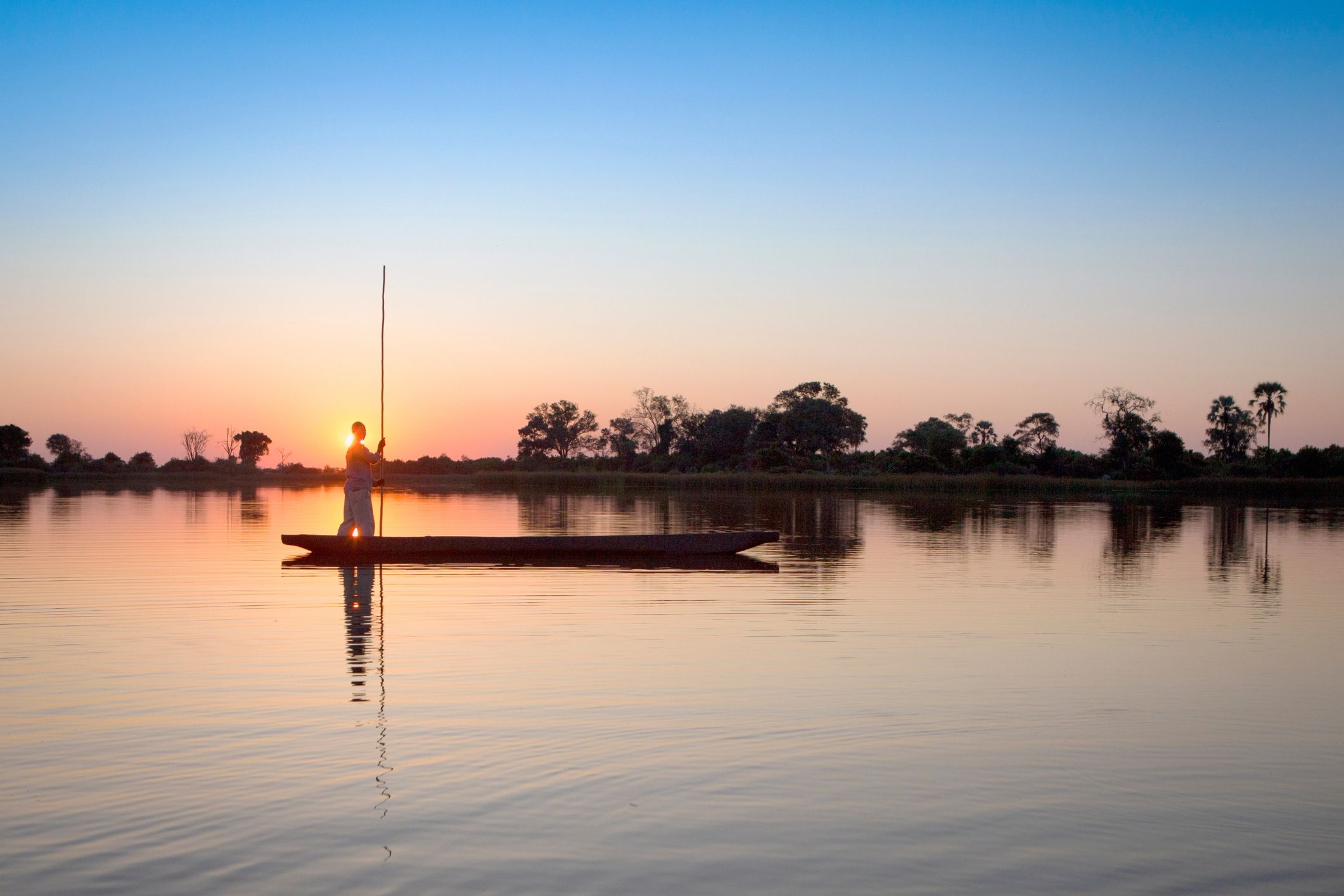 Maun